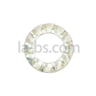 Lot de 50 rondelles éventail en acier zingué diamètre 6mm