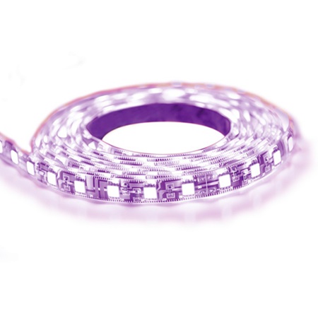 STRIP LED UV 24V 5M IP65 PRO - LUMIHOME