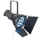 Projecteur Led Blanc Froid 7400K 14 Led 20W SHOWTEC Solar FL-280