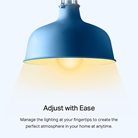 Lot de 2 lampes ampoule connectée WiFi Dimmable E27 TP-LINK Tapo L510E